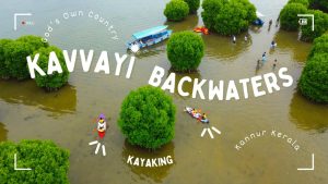 KAVVAYI BACKWATER IT IS 3RD LARGEST BACKWATER IN KERALA AND IT IS THE BEST NATURAL THERAPY